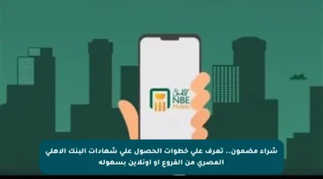 شراء مضمون.. تعرف على خطوات الحصول على شهادات البنك الأهلي المصري من الفروع أو أونلاين بسهولة